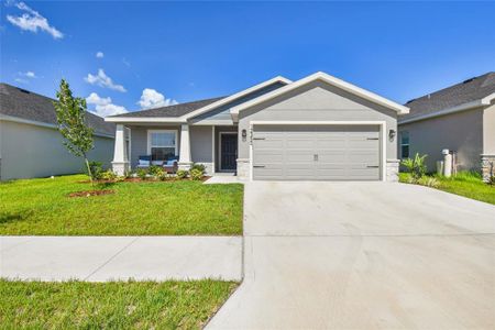 New construction Single-Family house 12350 Terrace Bluff Street, Riverview, FL 33579 - photo 4 4