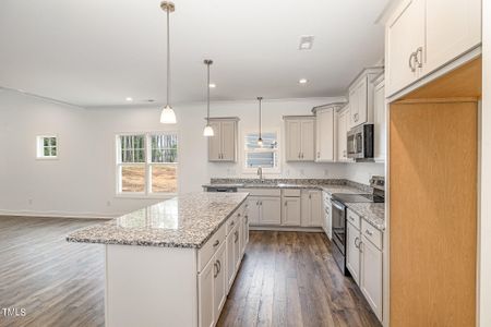 New construction Single-Family house 171 Red River Drive, Selma, NC 27576 - photo 8 8