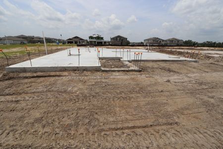 New construction Single-Family house 31870 Sapna Chime Drive, Wesley Chapel, FL 33545 Casanova- photo 9 9