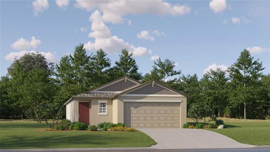 New construction Single-Family house 22288 Pleasant Morning Drive, Land O' Lakes, FL 34637 Annapolis- photo 0