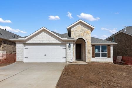 New construction Single-Family house 131 Grand Teton Drive, Kyle, TX 78640 - photo 8 8