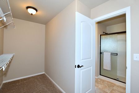 New construction Single-Family house 6611 West 5th Street, Greeley, CO 80634 - photo 35 35