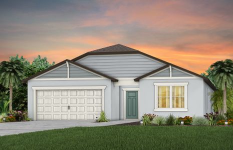New construction Single-Family house Seabrook, Buckeye Road, Parrish, FL 34219 - photo