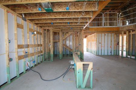 New construction Single-Family house 1704 Foxtail Drive, Celina, TX 75009 Saffron- photo 6 6