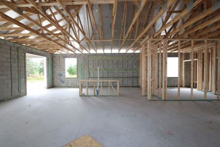 New construction Single-Family house 4778 Beachrose Way, Lakeland, FL 33811 Barcello- photo 22 22