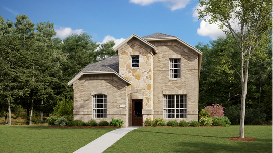 New construction Single-Family house McAllen, 9749 Little Tree Lane, Fort Worth, TX 76179 - photo