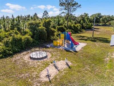 New construction Single-Family house 41900 Cassia Street, Eustis, FL 32736 - photo 45 45