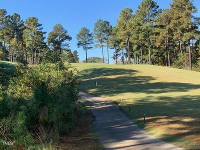 New construction Single-Family house 52 Barn Owl Lane, Pittsboro, NC 27312 - photo 8 8