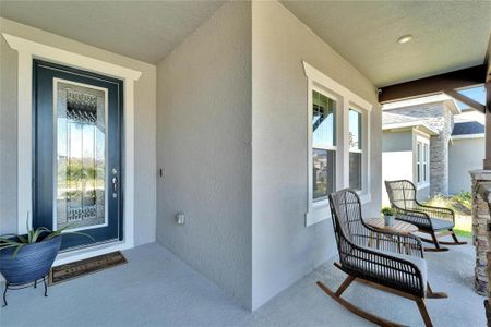 New construction Single-Family house 5429 Limelight Drive, Apollo Beach, FL 33572 - photo 5 5