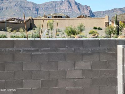 New construction Single-Family house 48586 N Duran Way, Gold Canyon, AZ 85118 Kingston- photo 5 5