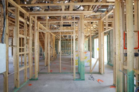 New construction Single-Family house 10603 New Morning Drive, Tampa, FL 33647 Santina II- photo 9 9