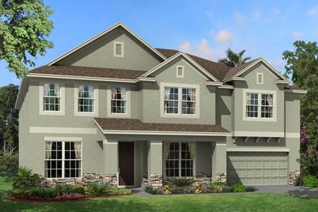 New construction Single-Family house Grandshore II, 10805 Rolling Moss Road, Tampa, FL 33647 - photo
