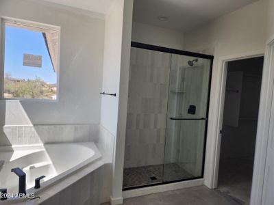 New construction Single-Family house 2175 W Marita Street, Queen Creek, AZ 85144 - photo 10 10
