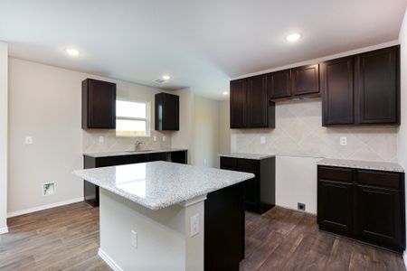 New construction Single-Family house 5422 Black Harrier, San Antonio, TX 78222 - photo 10 10
