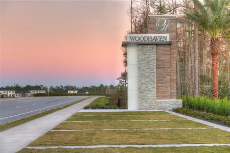 New construction Townhouse house 6454 Roseberry Court, Port Orange, FL 32128 - photo 9 9