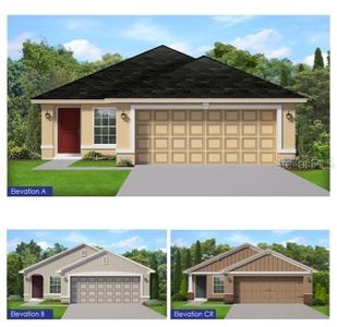 New construction Single-Family house 36156 Trinity Glade Road, Dade City, FL 33525 - photo