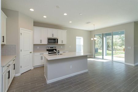 New construction Single-Family house 9771 Cape Cod Road, Deland, FL 32724 - photo 6 6