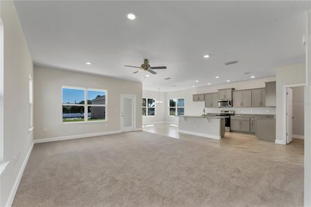 New construction Single-Family house 25205 Southwest 15th Avenue, Newberry, FL 32669 - photo 43 43