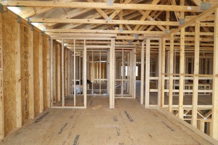 New construction Single-Family house 2522 Sunny Pebble Loop, Zephyrhills, FL 33540 Mira Lago- photo 28 28