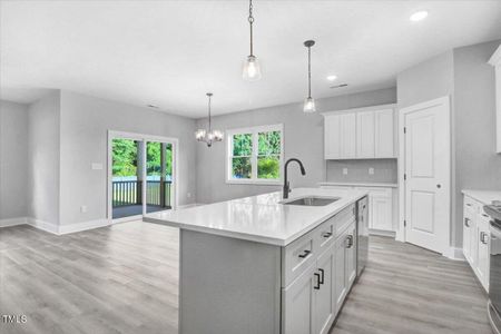 New construction Single-Family house 9105 Raccoon Drive, Middlesex, NC 27557 - photo 11 11