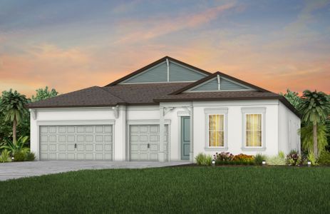New construction Single-Family house Merlot, 5363 Wolf Creek Drive, Ruskin, FL 33572 - photo