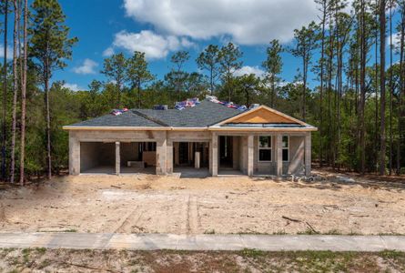 New construction Single-Family house 2543 Axelwood Drive, Beverly Hills, FL 34465 - photo