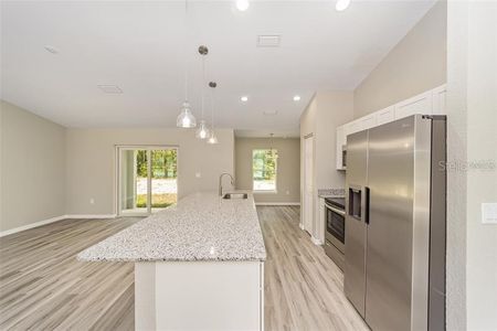 New construction Single-Family house 59 180th Circle, Dunnellon, FL 34432 - photo 5 5