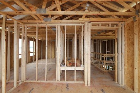 New construction Single-Family house 2885 Misty Marble Drive, Zephyrhills, FL 33540 Herrera- photo 37 37