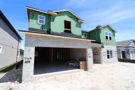 New construction Single-Family house 7719 Notched Pine Bend, Wesley Chapel, FL 33545 Palazzo- photo 8 8