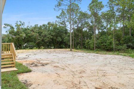 New construction Manufactured Home house 7854 Mondale Avenue, Lake Wales, FL 33898 - photo 36 36