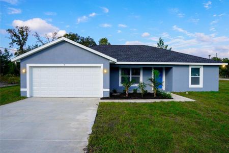 New construction Single-Family house 5 Malauka Radial Terrace, Ocklawaha, FL 32179 - photo 0