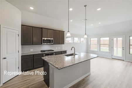 New construction Single-Family house 1221 Rosebay Drive, Justin, TX 76247 Premier Series - Palm- photo 2 2