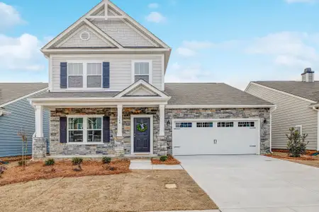 New construction Single-Family house 15 Tanglewood Pl, Angier, NC 27501 - photo 3