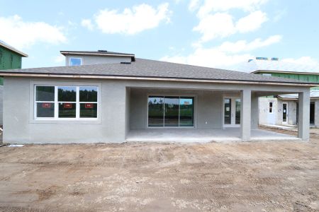 New construction Single-Family house 10609 New Morning Drive, Tampa, FL 33647 Corina  III Bonus- photo 36 36