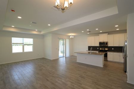 New construction Single-Family house 837 Hillshire Place, Spring Hill, FL 34609 Marque- photo 21 21