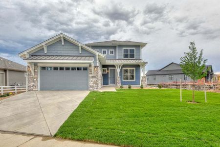 New construction Single-Family house 8412 Cromwell Circle, Windsor, CO 80528 - photo 96 96