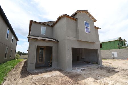 New construction Single-Family house 2463 Sunny Pebble Loop, Zephyrhills, FL 33540 Castellana- photo 83 83