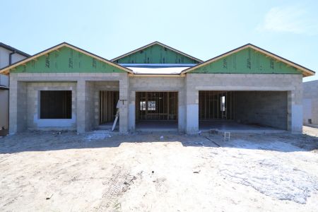 New construction Single-Family house 32568 Sapna Chime Drive, Wesley Chapel, FL 33545 Barcello- photo 17 17