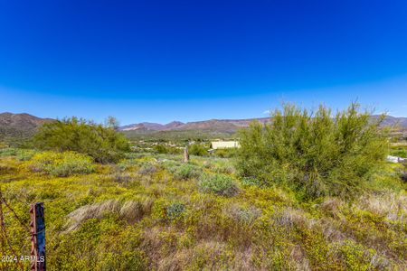 New construction Single-Family house 492XX N 15Th Avenue, New River, AZ 85087 - photo 17 17