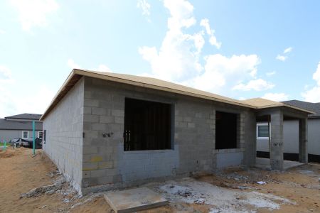 New construction Single-Family house 12032 Hilltop Farms Drive, Dade City, FL 33525 Marque- photo 12 12