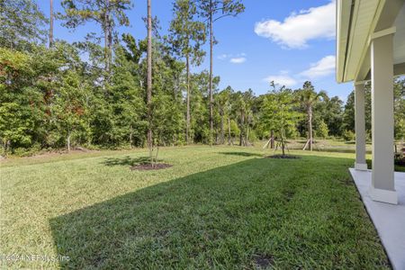 New construction Single-Family house 189 Gourd Island Way, Saint Johns, FL 32259 - photo 34 34