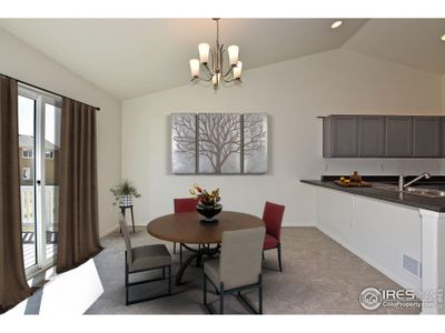New construction Single-Family house 2344 Graceful St, Windsor, CO 80550 The Delaware- photo 6 6