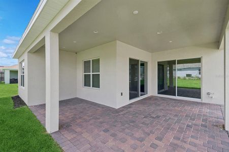 New construction Single-Family house 2264 Seasgrass Point, Unit 446, Kissimmee, FL 34747 Dominica- photo 22 22