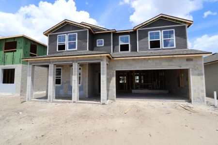 New construction Single-Family house 31835 Sapna Chime Drive, Wesley Chapel, FL 33545 Salinas- photo 41 41