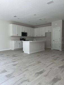 New construction Townhouse house 10817 Quickwater Court, Riverview, FL 33569 - photo