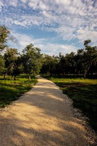 New construction Single-Family house 2531 Wayside Dr, Wimberley, TX 78676 - photo 29 29