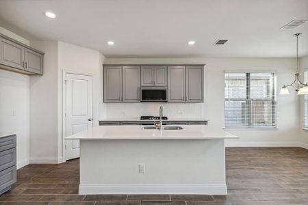 New construction Single-Family house 2902 Isla Terrace, Princeton, TX 75407 Lakefront - photo 4 4