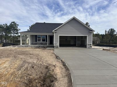 New construction Single-Family house 103 Burnello Court, Princeton, NC 27569 - photo 0