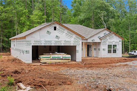 New construction Single-Family house 65 Water Oak Trail, Covington, GA 30014 - photo 24 24