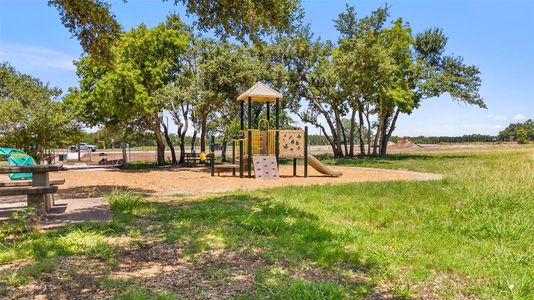 New construction Single-Family house 235 Denali Way, Dripping Springs, TX 78620 Ladybird Homeplan- photo 24 24